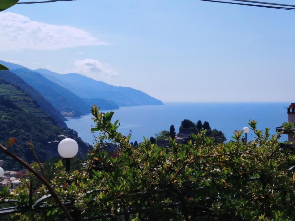 La Cabana Cinque Terre Monterosso Monterosso al Mare Dış mekan fotoğraf