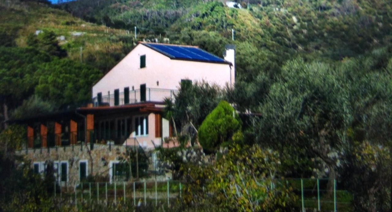 La Cabana Cinque Terre Monterosso Monterosso al Mare Dış mekan fotoğraf