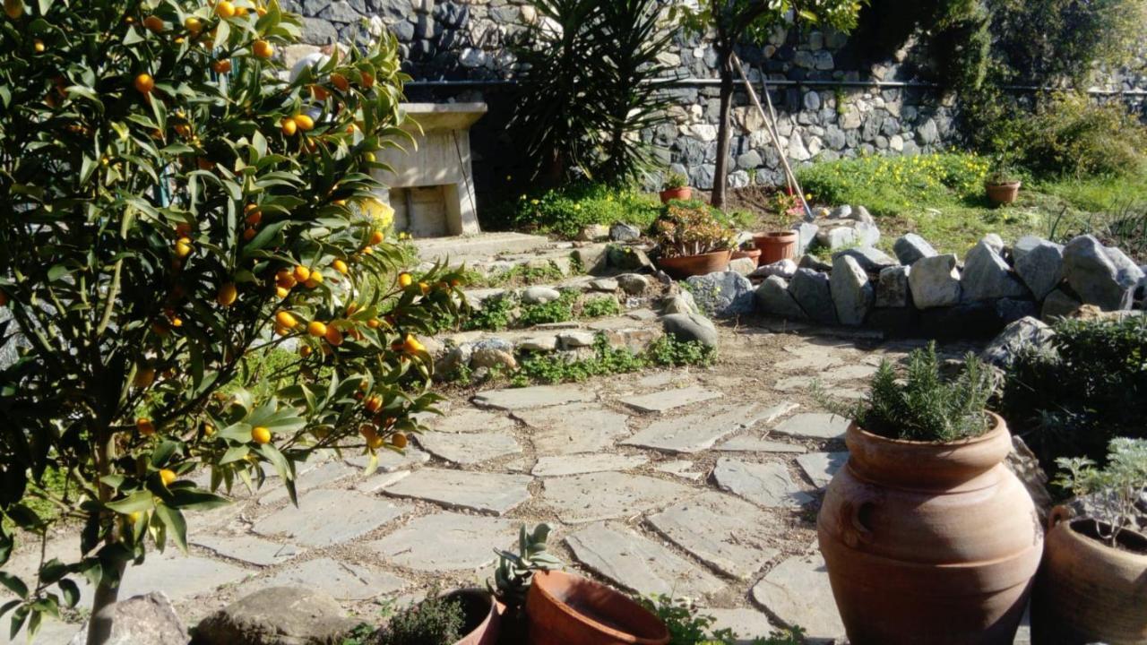 La Cabana Cinque Terre Monterosso Monterosso al Mare Dış mekan fotoğraf