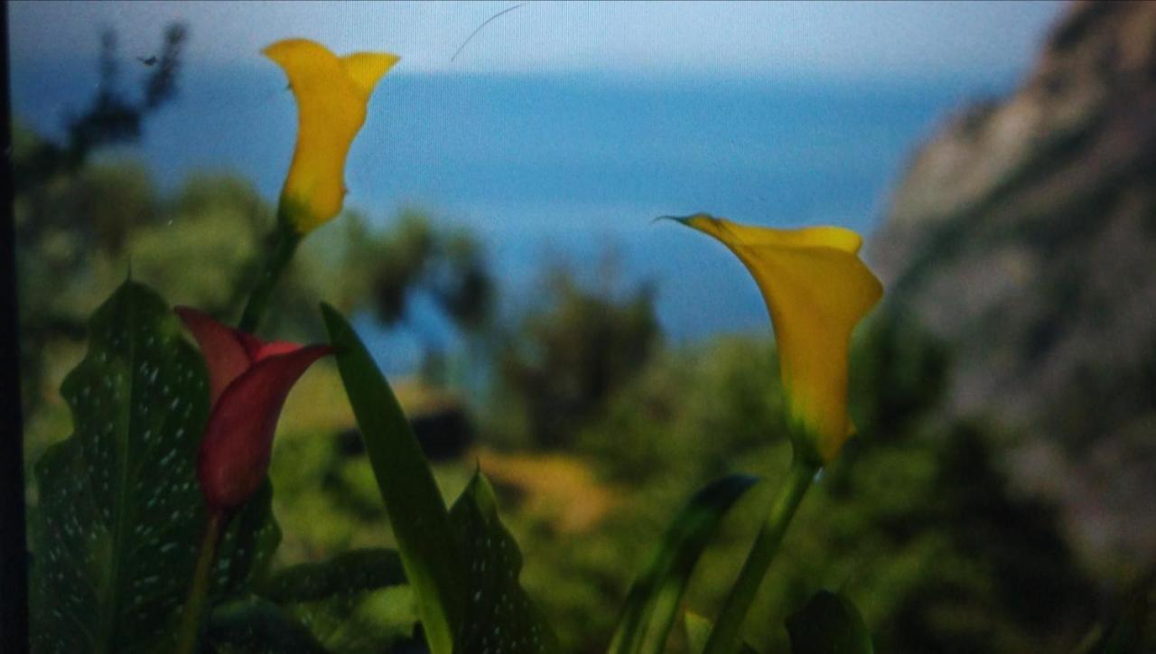 La Cabana Cinque Terre Monterosso Monterosso al Mare Dış mekan fotoğraf